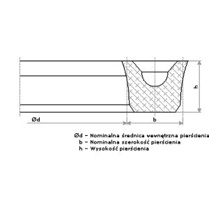 45.00X55.00X5 U2 88A   USZCZELKA TYP U