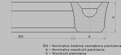 45.00X55.00X5 U2 88A   USZCZELKA TYP U