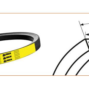 Z 1120/1098 PAS KLINOWY OPTIBELT