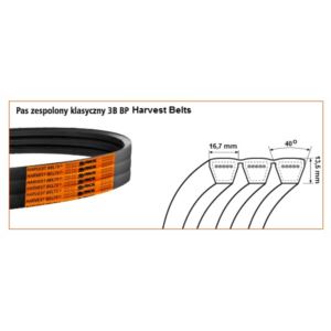 3B BP 3250 PAS KLINOWY ZESPOLO