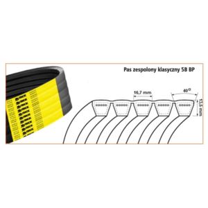 5B BP 1675 PAS KLINOWY ZESPOL.HARVEST BELT