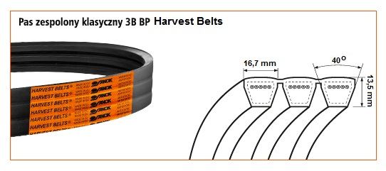 3A BP 1250 PAS KLINOWY ZESPOLONY